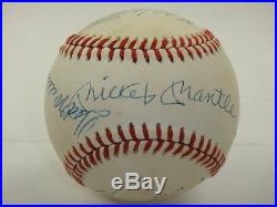 500 Home Run Club Baseball Signed By 10 Psa/dna Mantle Williams Mays Autographed