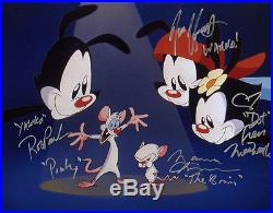 ANIMANIACS CAST MULTI SIGNED 11x14 Photo +4 FULL LETTER PSA/DNA AUTOGRAPHED