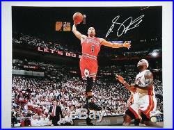 Derrick Rose Psa/dna Signed 16x20 Photograph Autograph Chicago Bulls Mvp Lebron