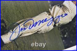 Joe DiMaggio Autograph PSA DNA 1982 TCMA PSA/DNA Encapsulation
